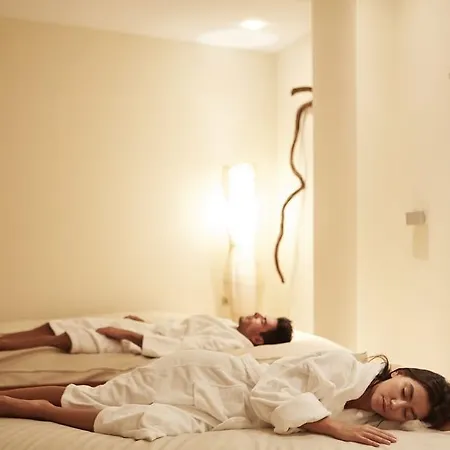 酒店 因索特尔芬尼西亚名誉套房酒店和spa