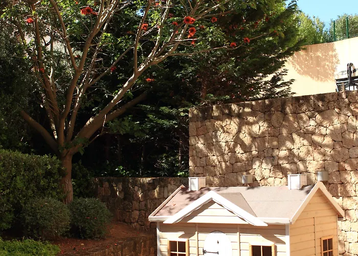 酒店 因索特尔芬尼西亚名誉套房酒店和spa 5*