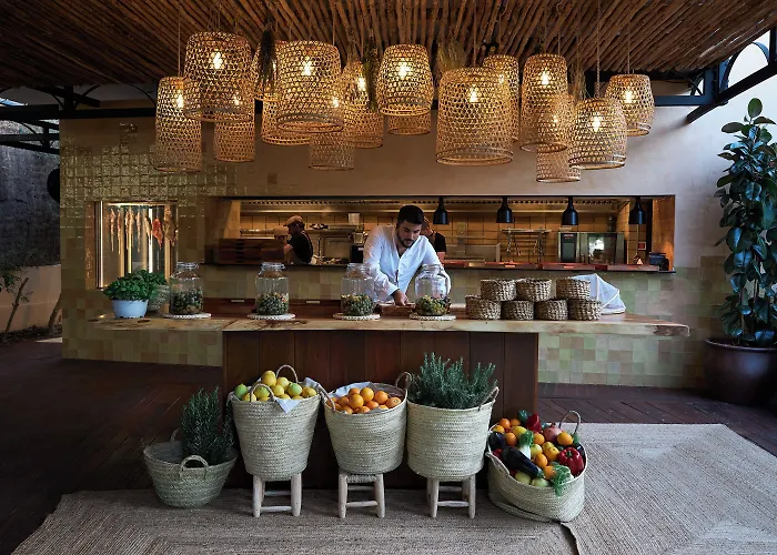 因索特尔芬尼西亚名誉套房酒店和spa